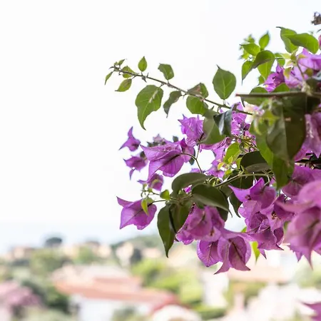 Holiday home La Terrazza 10 - Free Wifi - 700mt From The Beach *